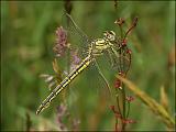 2007-06-05_Plasrombout_v_-_Drentse Aa